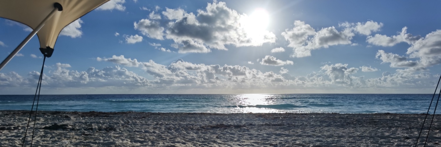Arvillari's profile banner image