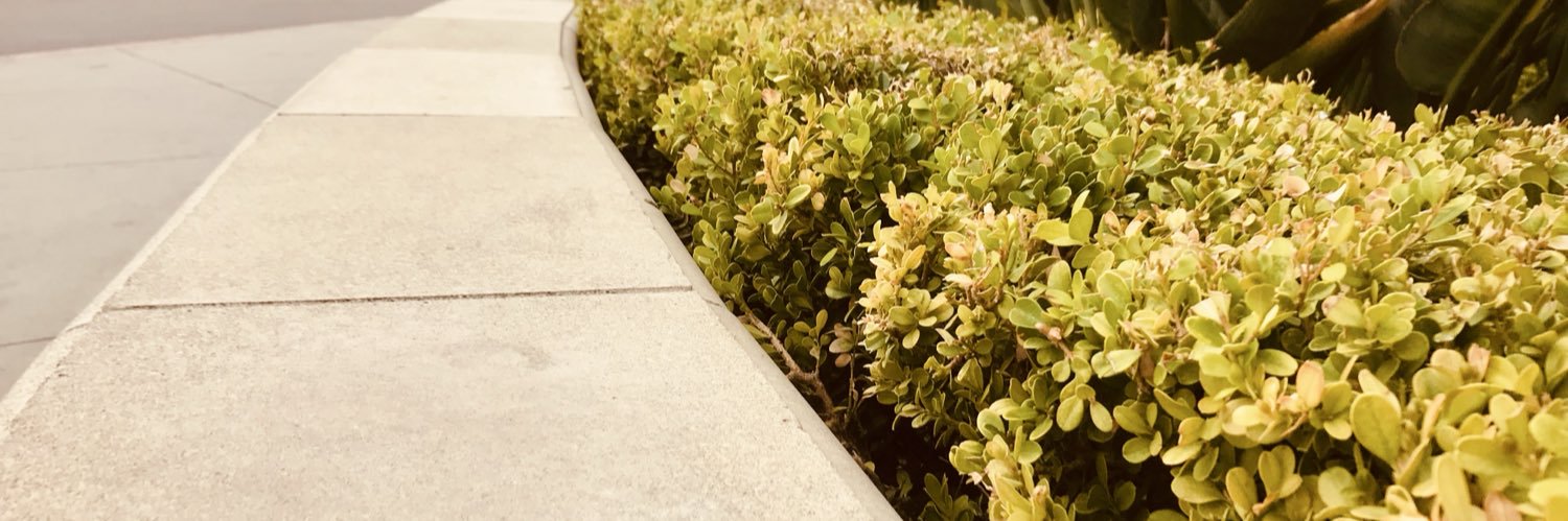 Christian Banas banner