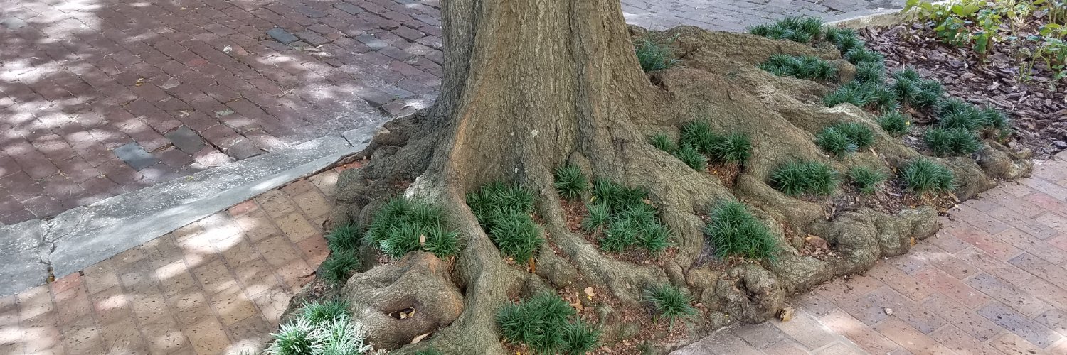 Florida Urban Forestry Council's banner