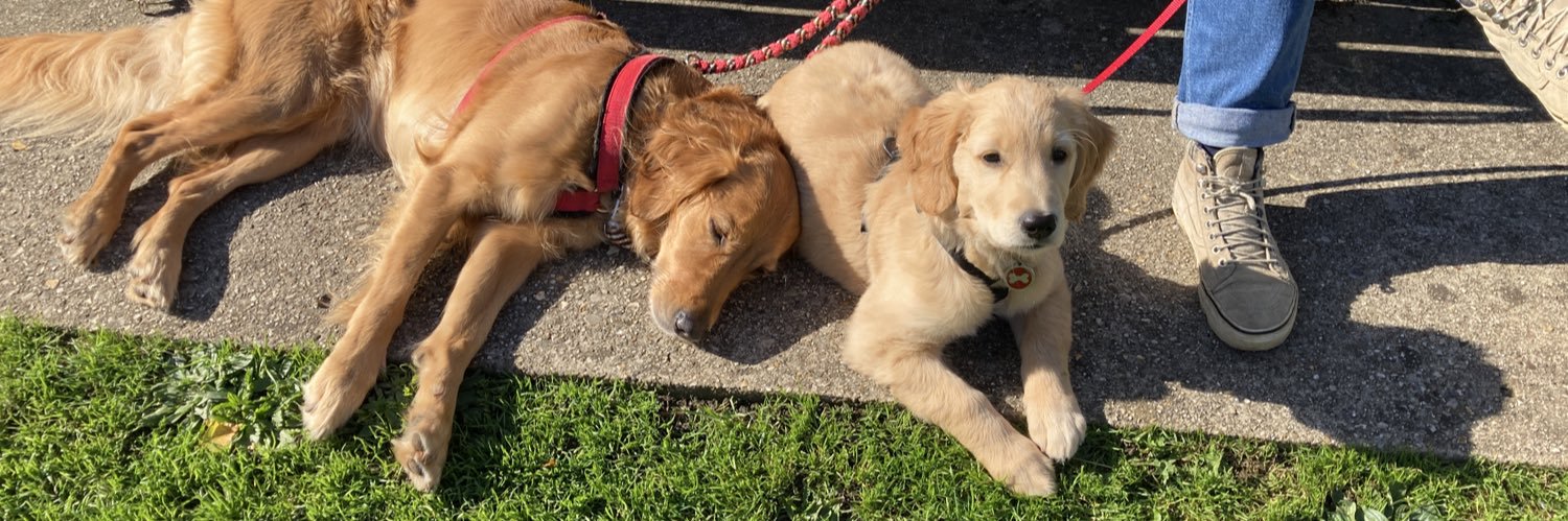 Fred Nelson ⭐️⭐️ banner