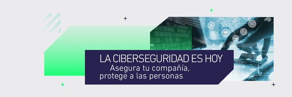 N4Security Profile Banner