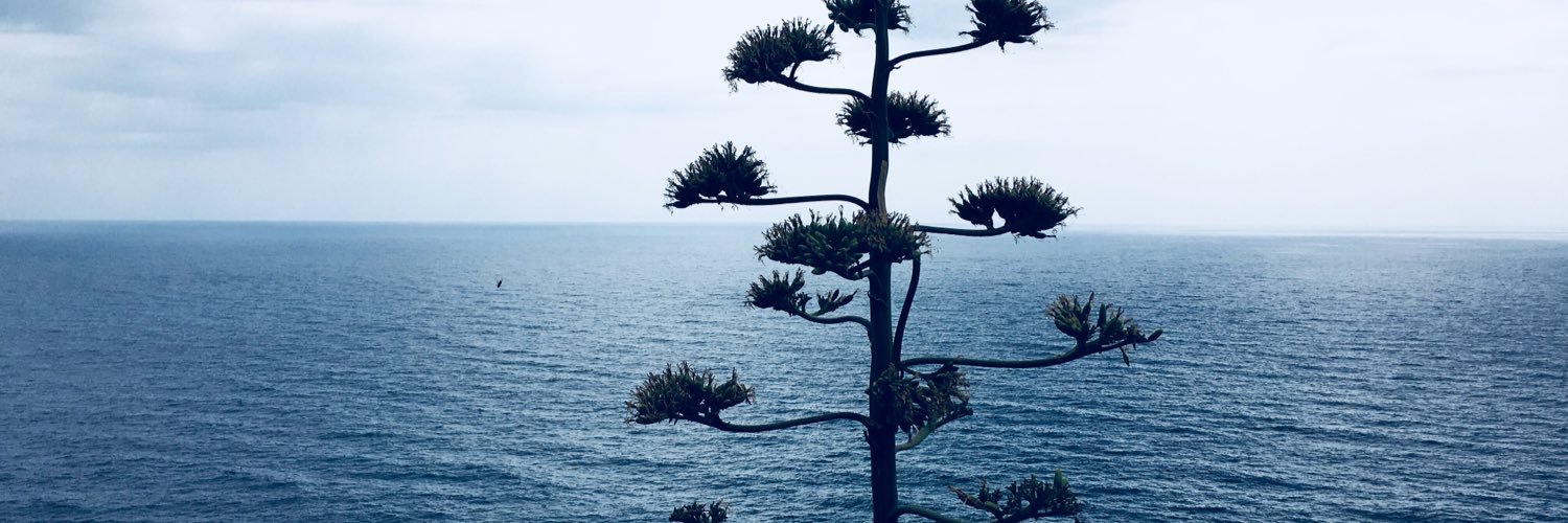 jeroonp's profile banner image