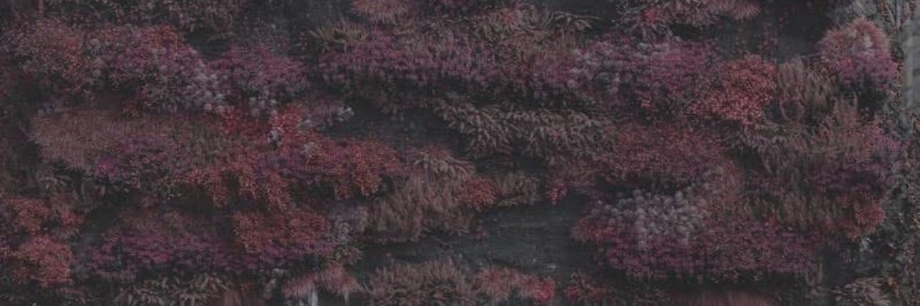 Skeletonhag's profile banner image