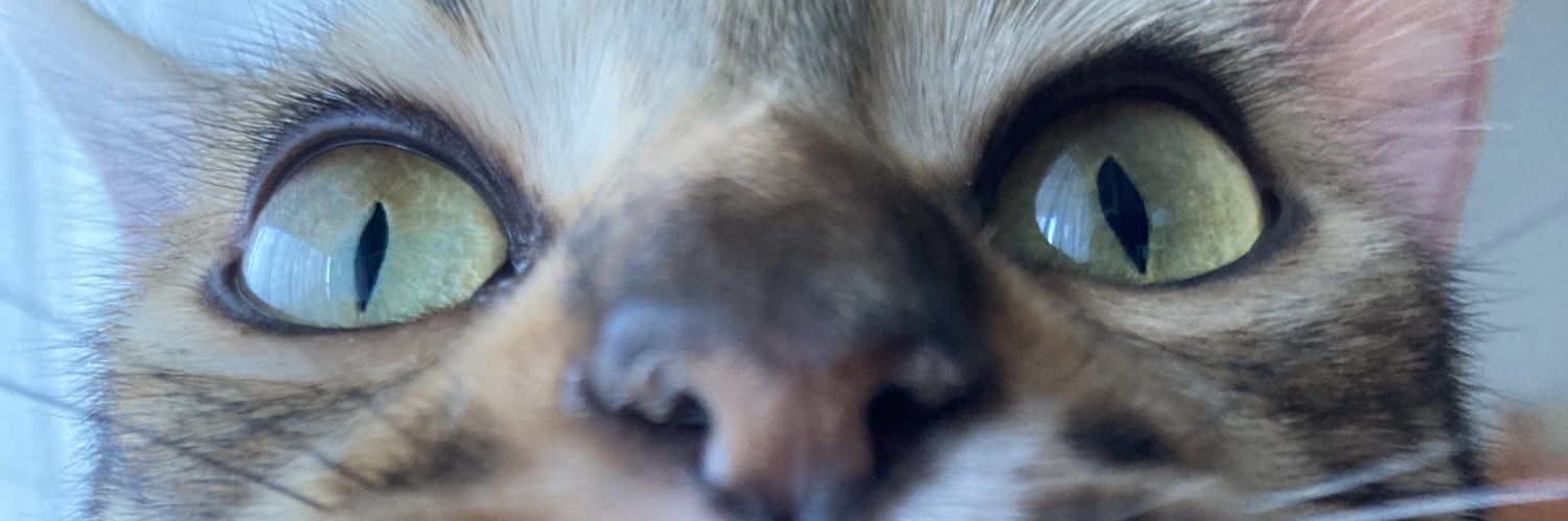 ゆえよし banner