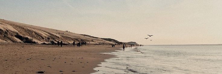 ͏ً banner