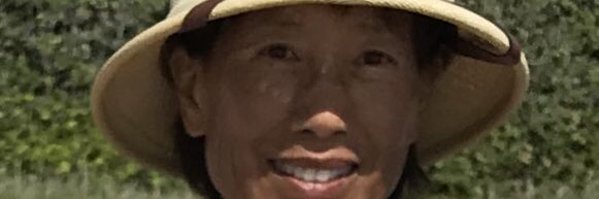 JaneGrossman4 Profile Banner