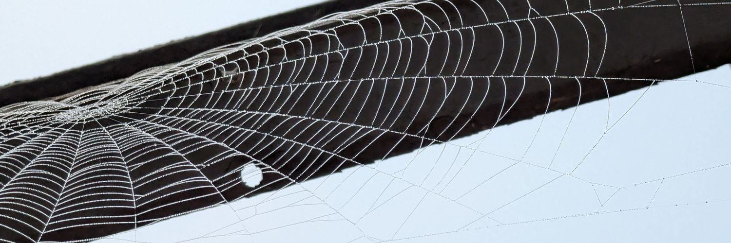 amotarao's profile banner image