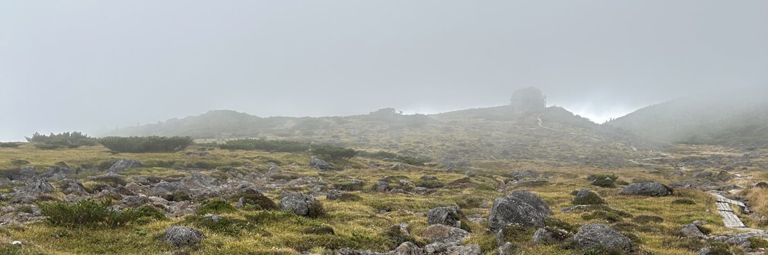 greenknow's profile banner image