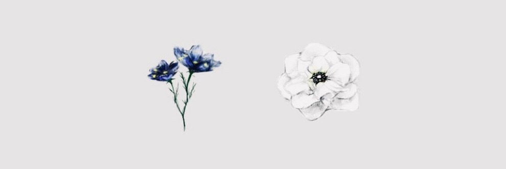 Neige banner