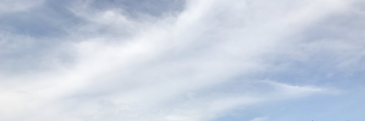 yamanecoya's profile banner image
