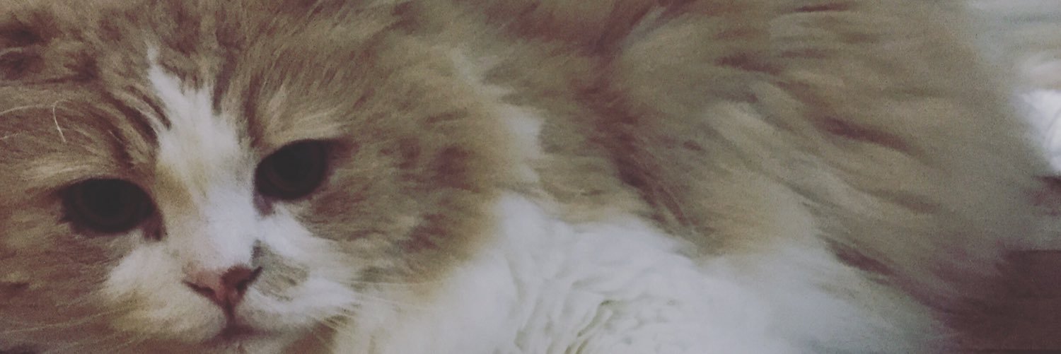 satoshiMORETHAN's profile banner image