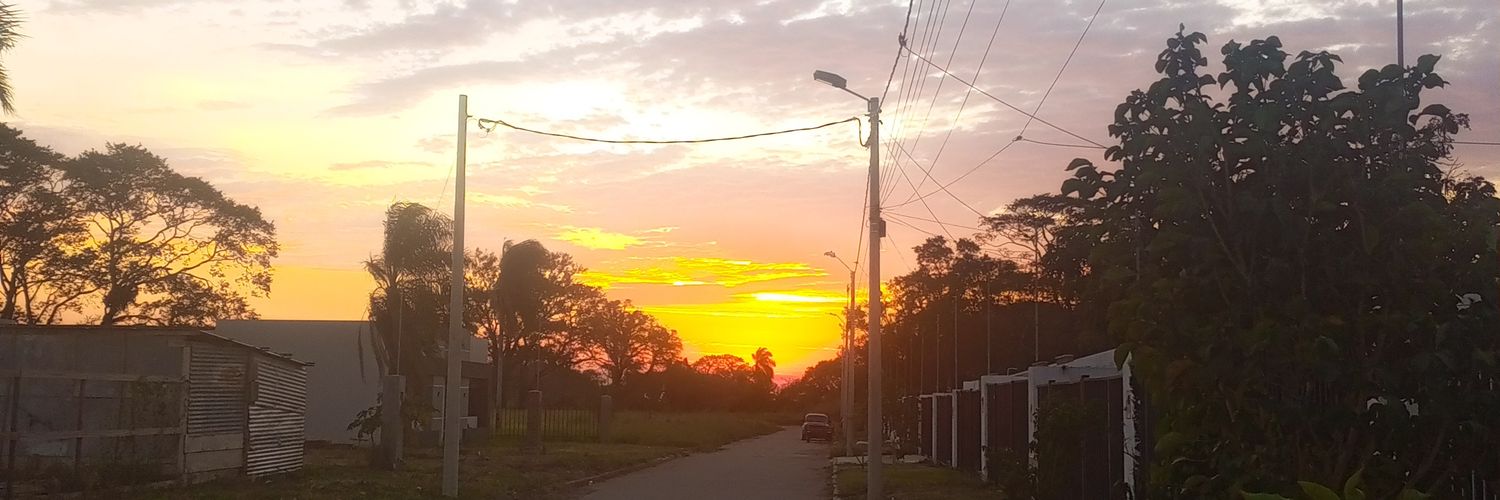 ¡¡¡Salvemos Bolivia, o nos hundimos!!! banner