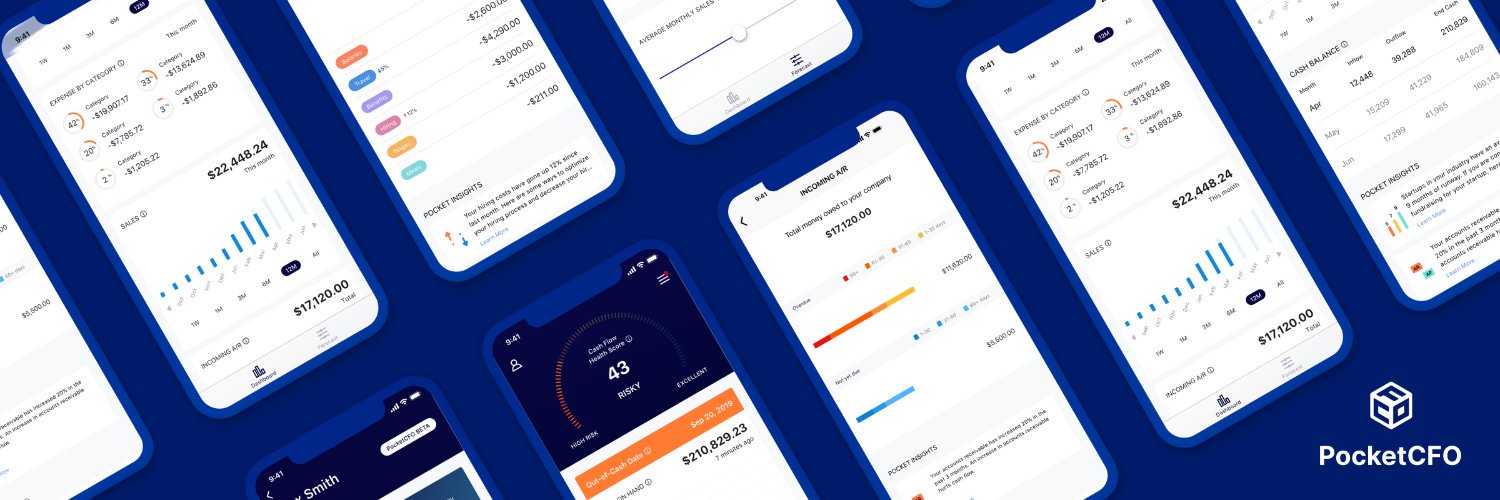 PocketCFO banner