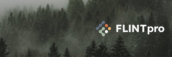 FLINTpro_Tech Profile Banner