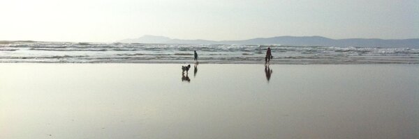 njmcd Profile Banner