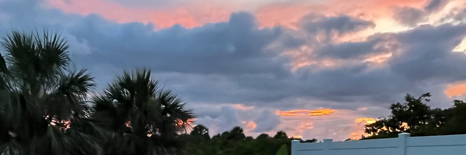 Dan banner
