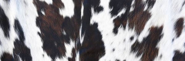 MariaBo99 Profile Banner