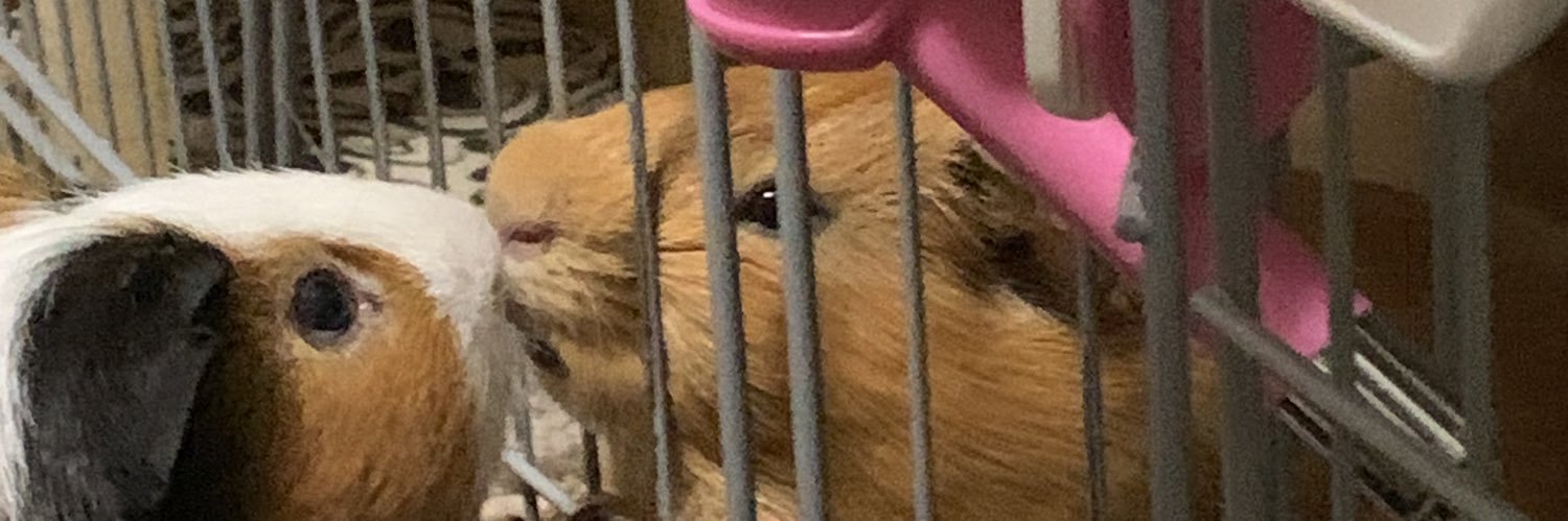 すゞトシ banner