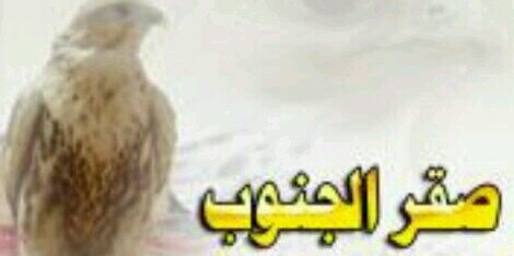 mohmaaaad07's profile banner image