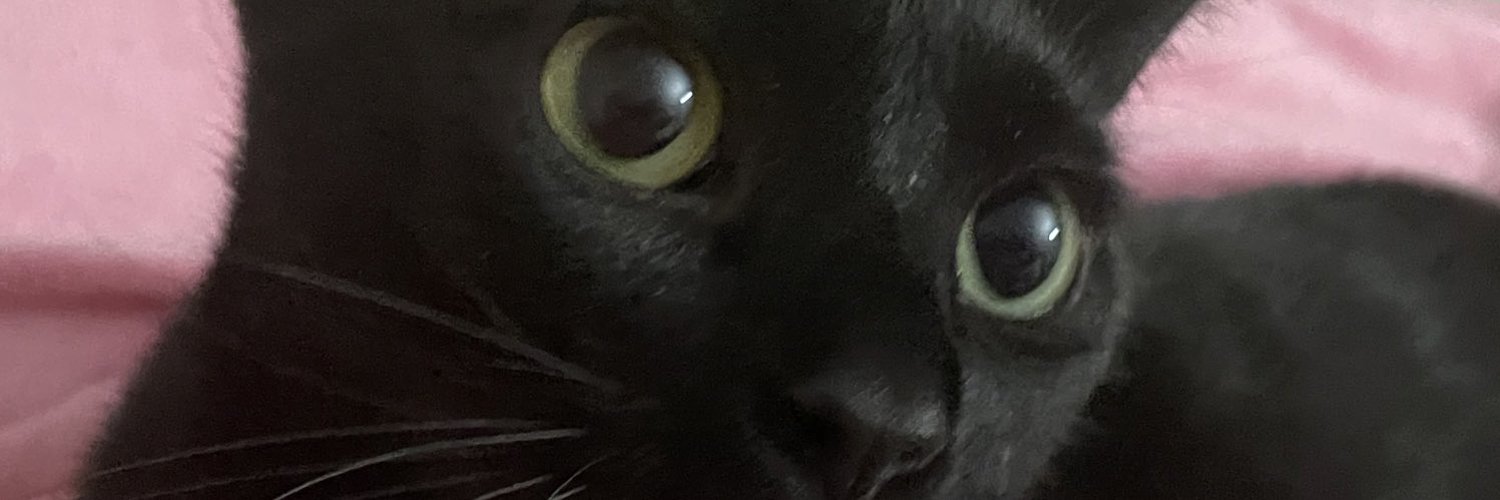 tymwits (@tym_wits) | Twitter