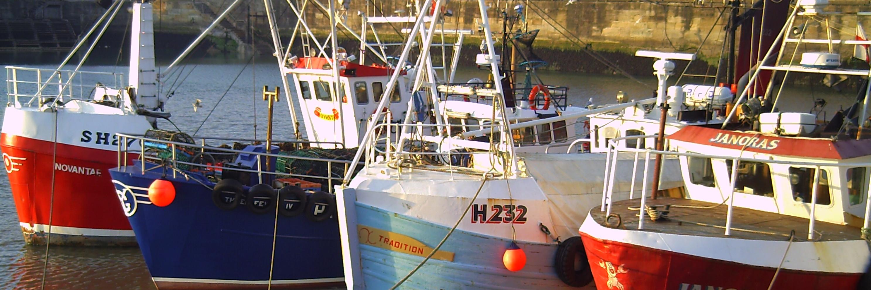 NFFO_UK's profile banner image