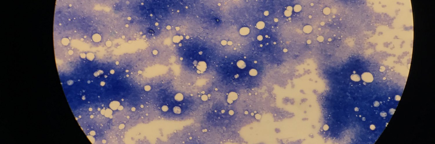 Margs Brennan banner