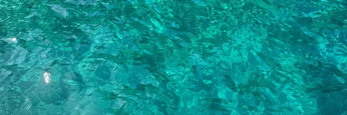 Marie_me_r's profile banner image