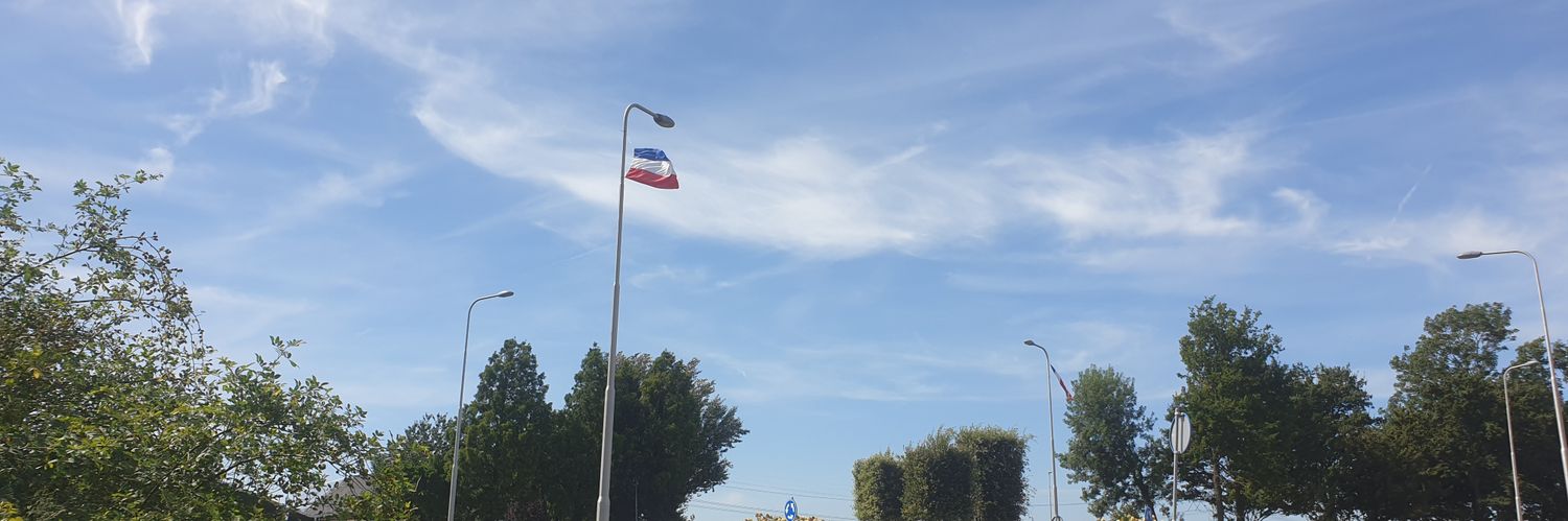 Renée Daniëls banner