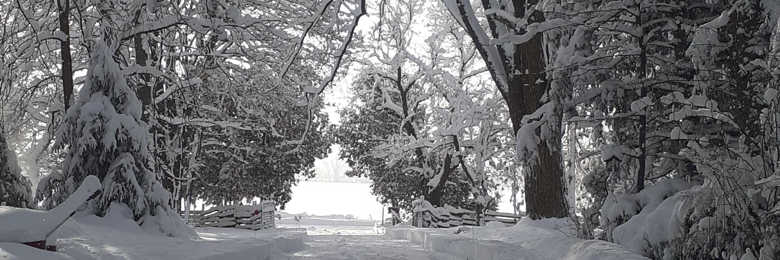 SKursis's profile banner image