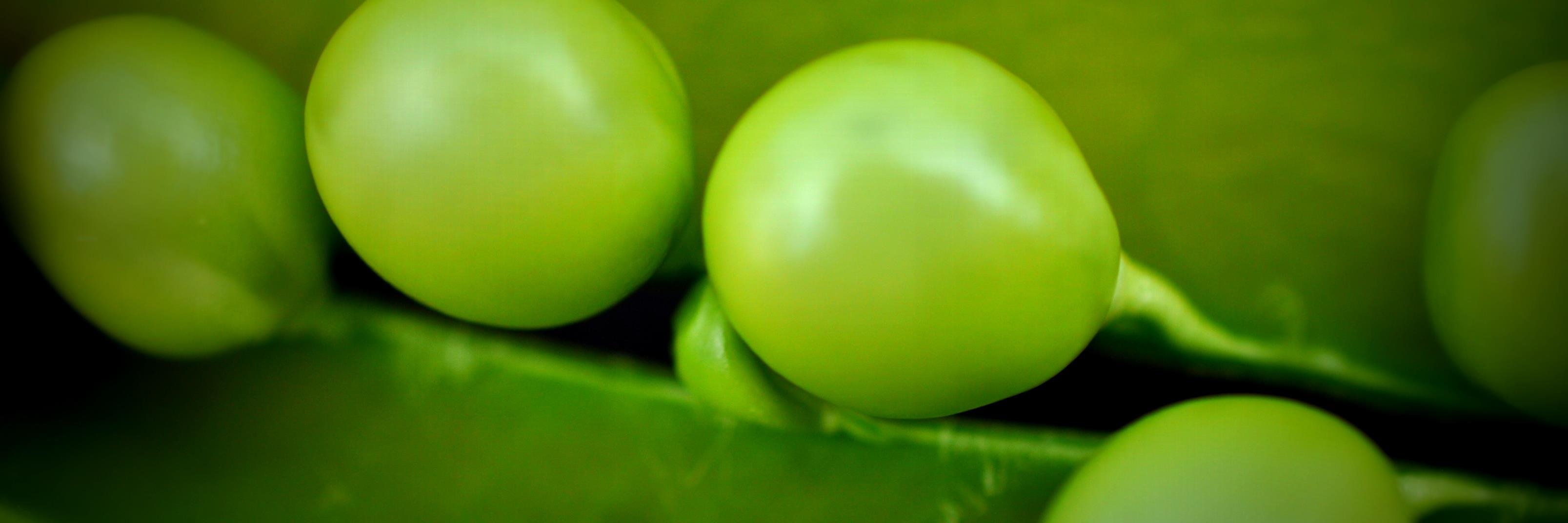 Robyne Bowness Davidson banner