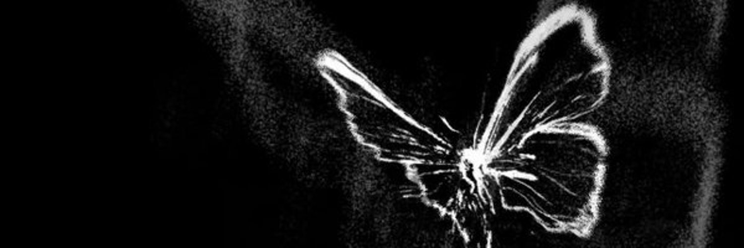 CarolLh500's profile banner image