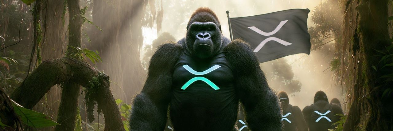 Antdaone52🇹🇿🇮🇪 banner