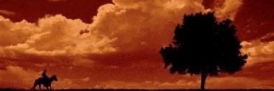 oardiaca's profile banner image