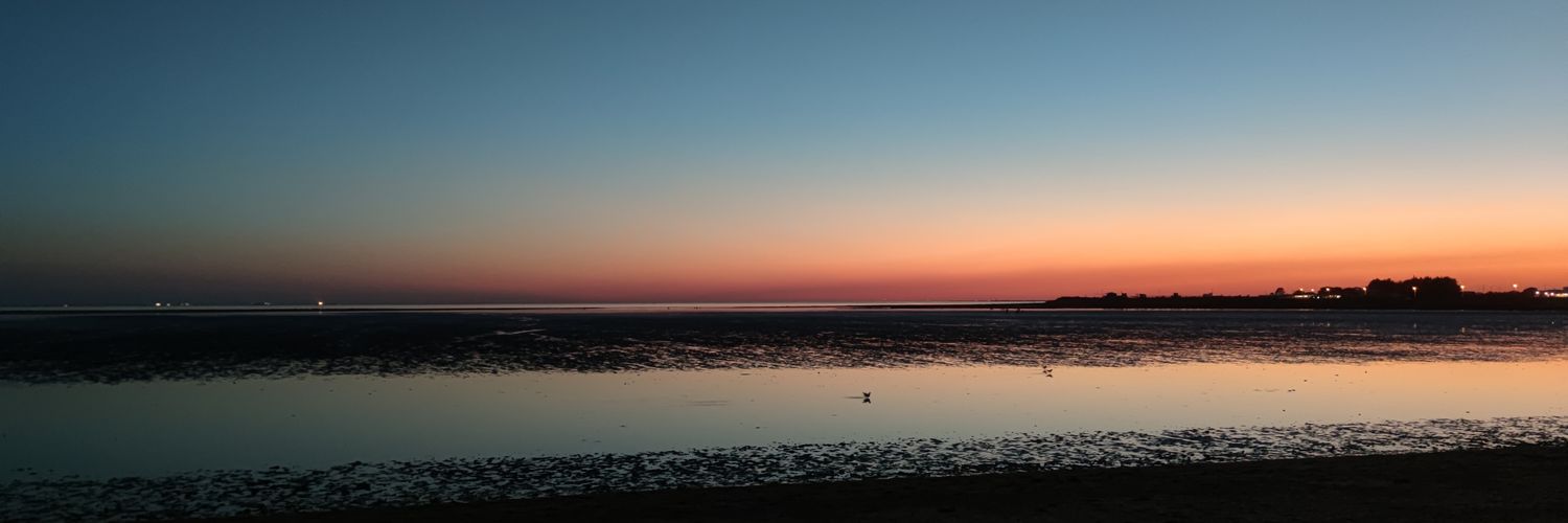 BBoizet's profile banner image