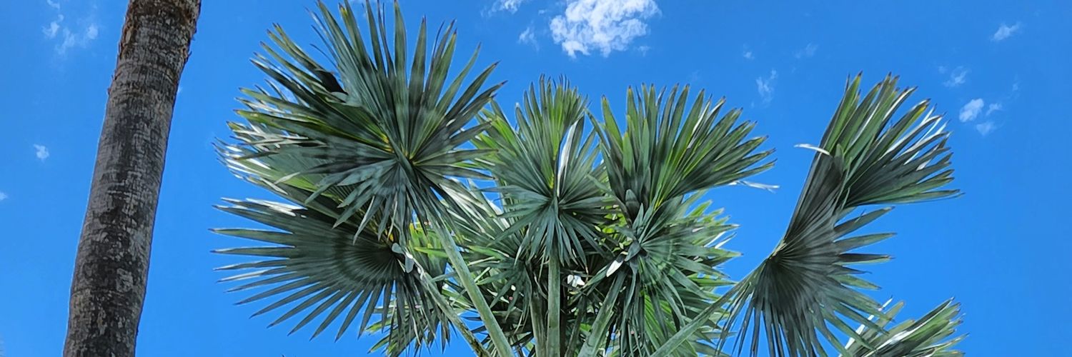 KellisLST's profile banner image