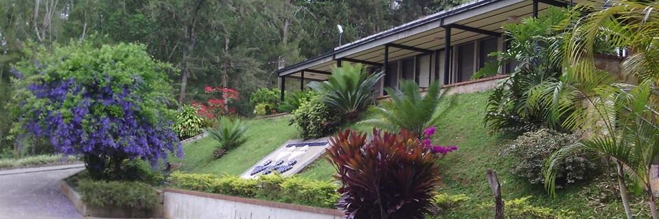 pozoderosas's profile banner image