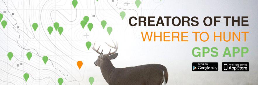 w2hunt's profile banner image