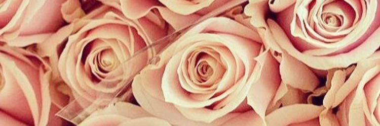 EleanorDelOcean's profile banner image