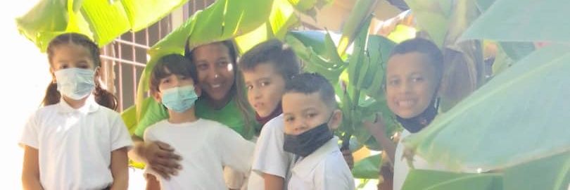 Nivel Primaria Falcòn banner