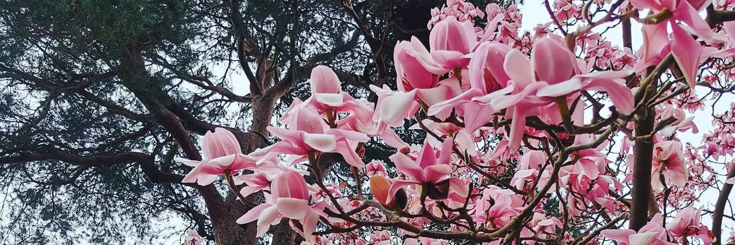 CathyHampson19's profile banner image