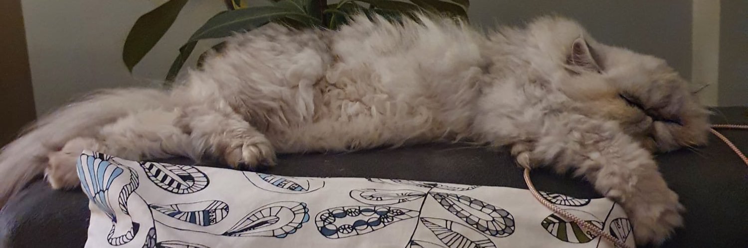JaichelMackson's profile banner image