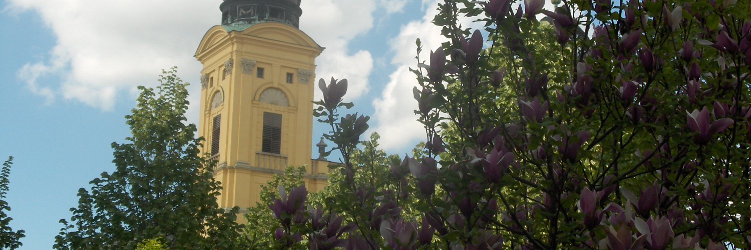 okovaros's profile banner image