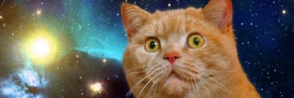 5MA0TAZATU Profile Banner