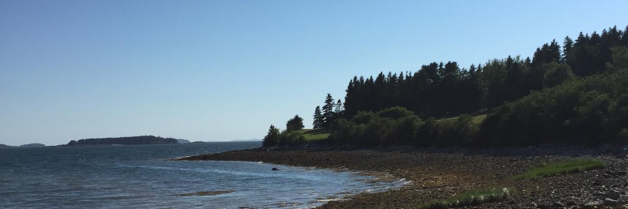 Devin Wardell Cook banner