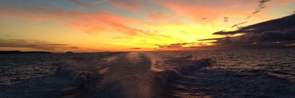 sile_scanlon's profile banner image