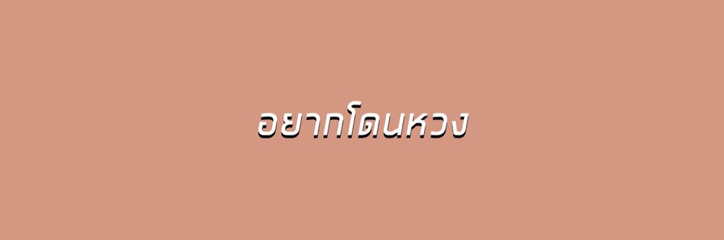 สกาย banner