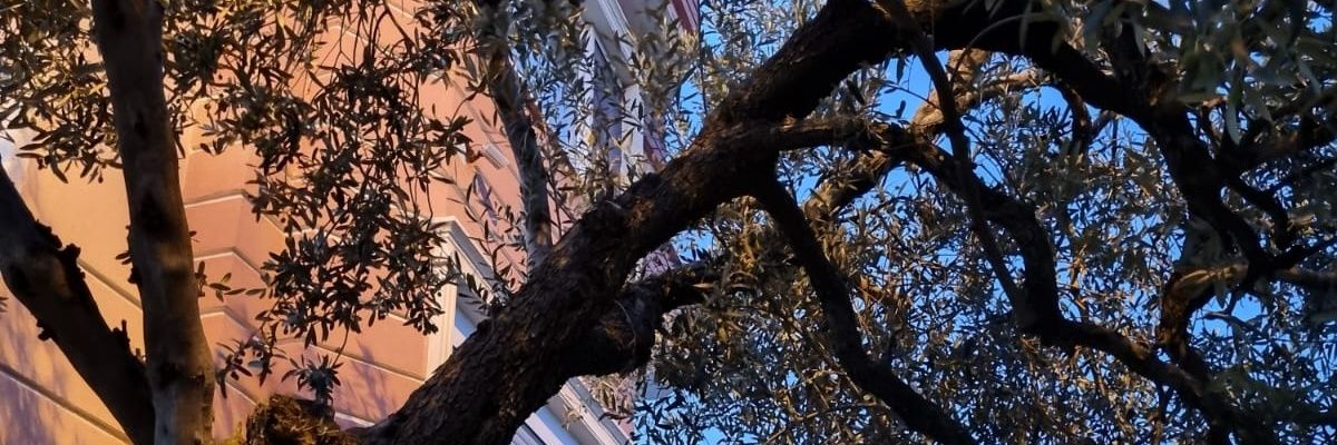 mltmkskn35's profile banner image