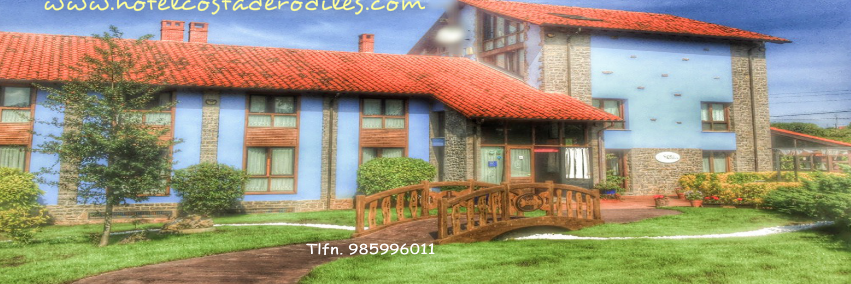 HCostaderodiles's profile banner image