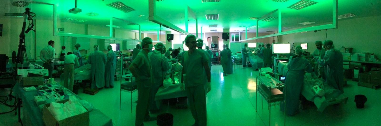 Pere Bretcha-Boix, MD; PhD; EBSQ-so; FEBS (hon) banner