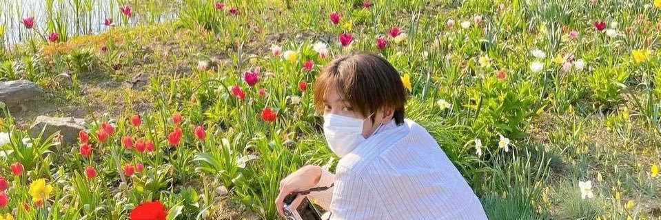 lotsofbluejaes's profile banner image